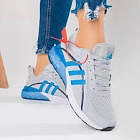 صورة التصنيف