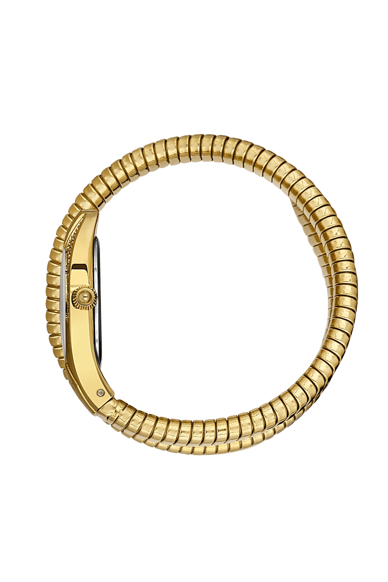 FREELOOK CHARMANT WOMENS STAINLESS STEEL STRAP WATCH – FL.1.10409-2