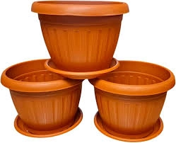 أصيص فخاري كلاسيك