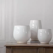 اختيار الأصيص المناسب: لماذا هو مهم لنمو النبات؟