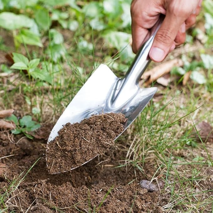 أدوات أساسية لكل هاوٍ للنباتات الداخلية