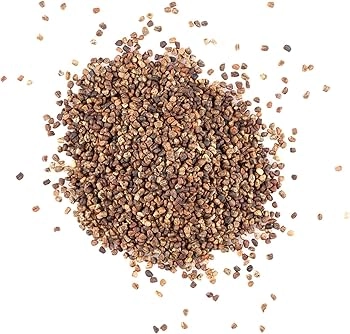 بذور أوركيد نادرة