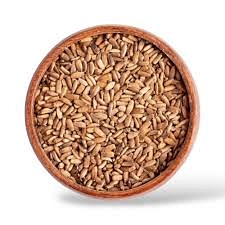 بذور ونباتات نادرة