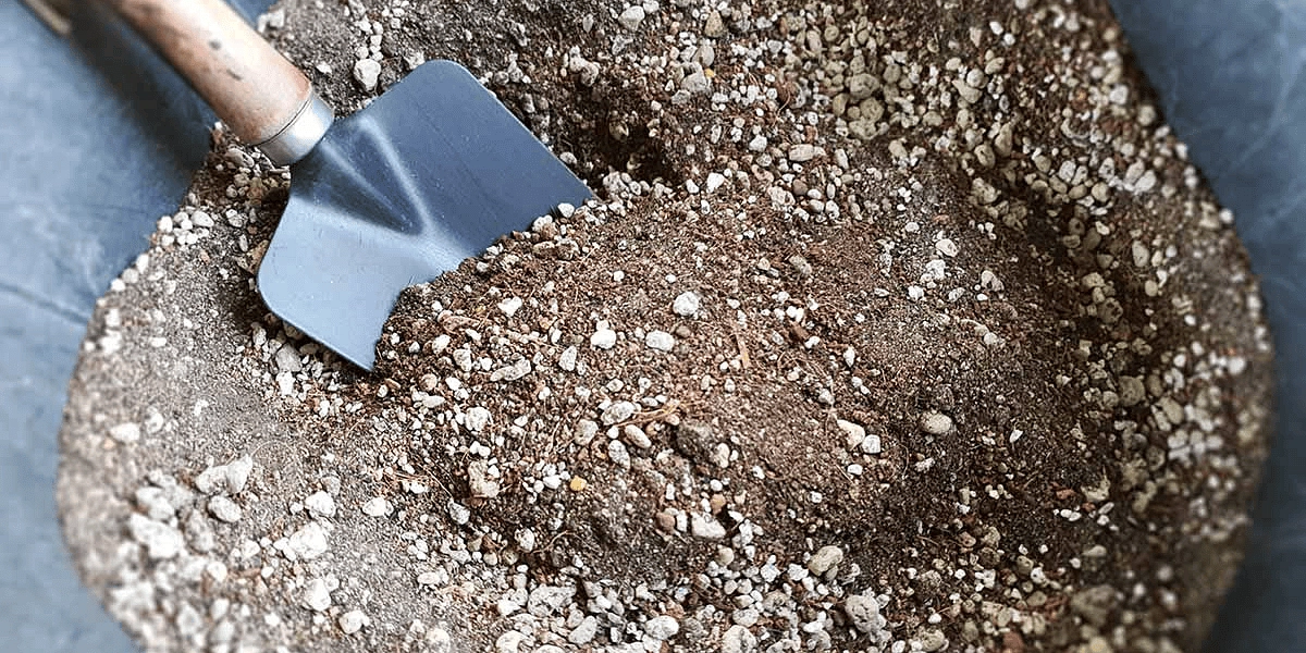 أدوات العناية بالنباتات