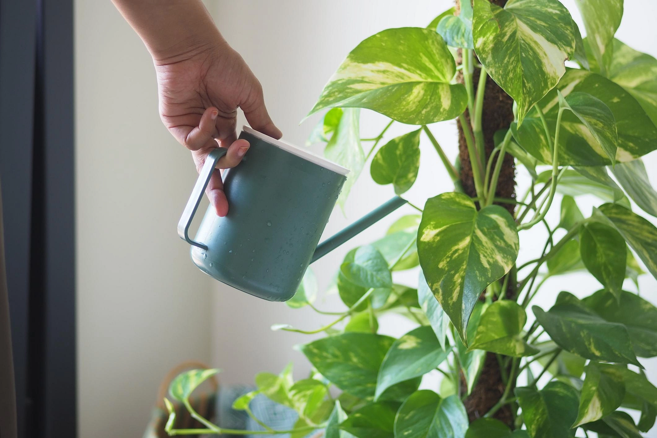 <p>من نحن؟</p>