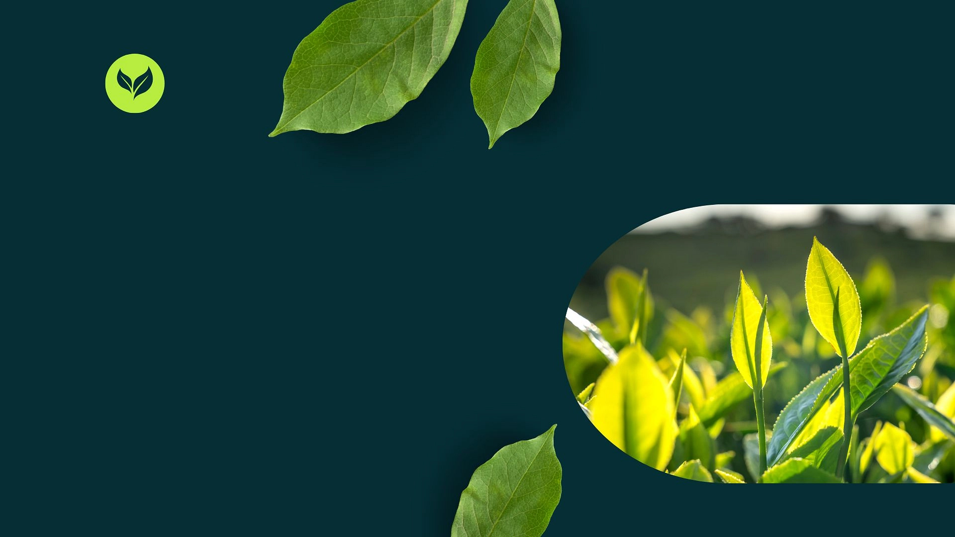 عرض خاص لفترة محدودة