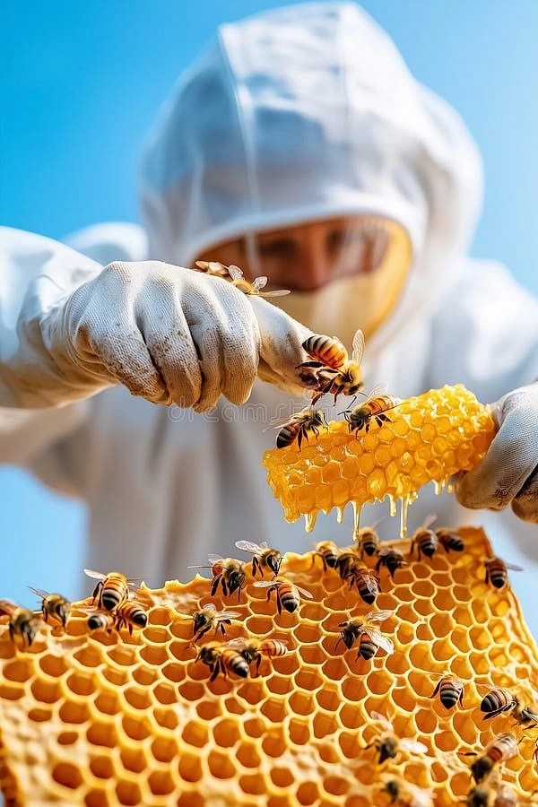 العسل الطبيعي